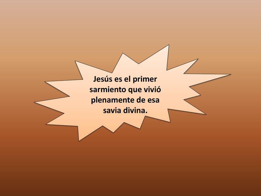 Jesús es el primer sarmiento que vivió plenamente de esa savia divina.