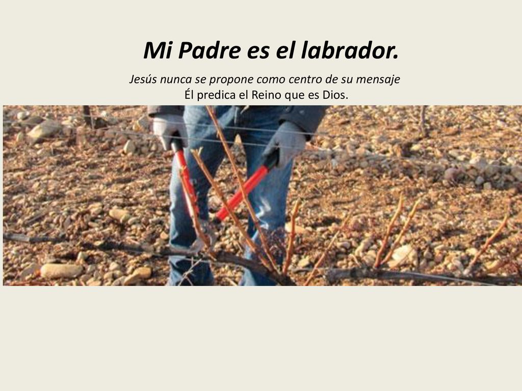 Mi Padre es el labrador. Jesús nunca se propone como centro de su mensaje.