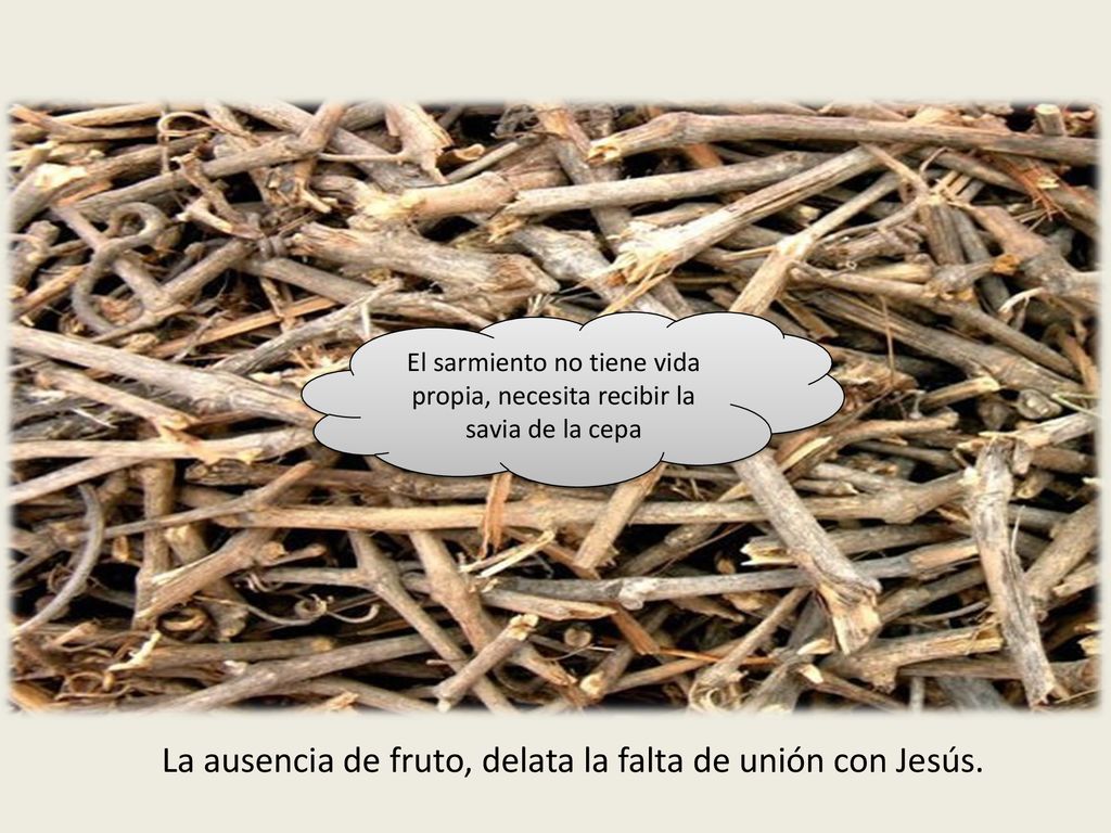 La ausencia de fruto, delata la falta de unión con Jesús.