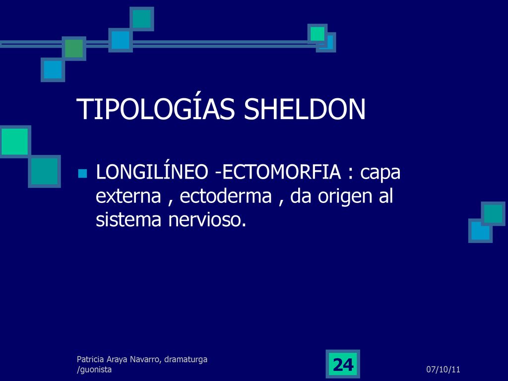 TIPOLOGÍAS SHELDON LONGILÍNEO -ECTOMORFIA : capa externa , ectoderma , da origen al sistema nervioso.