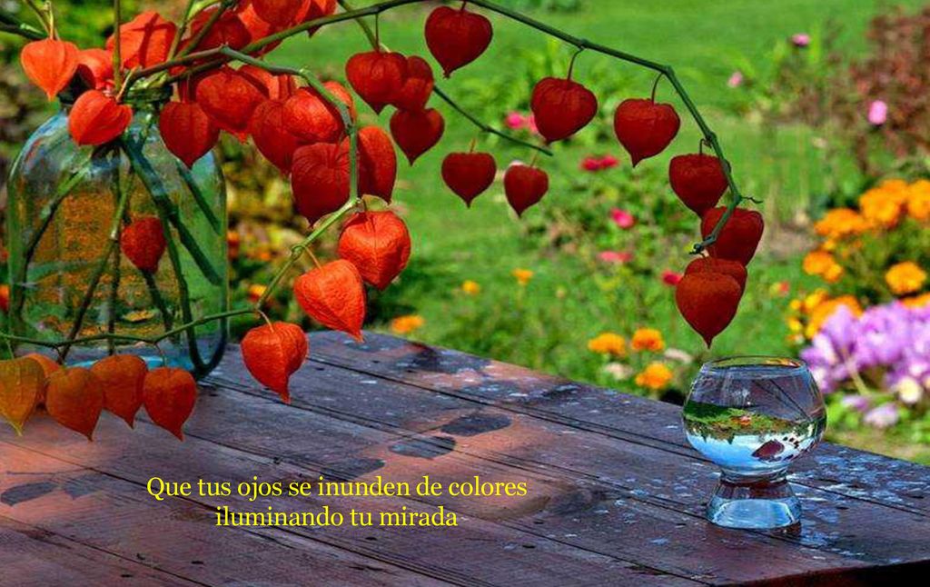 Que tus ojos se inunden de colores
