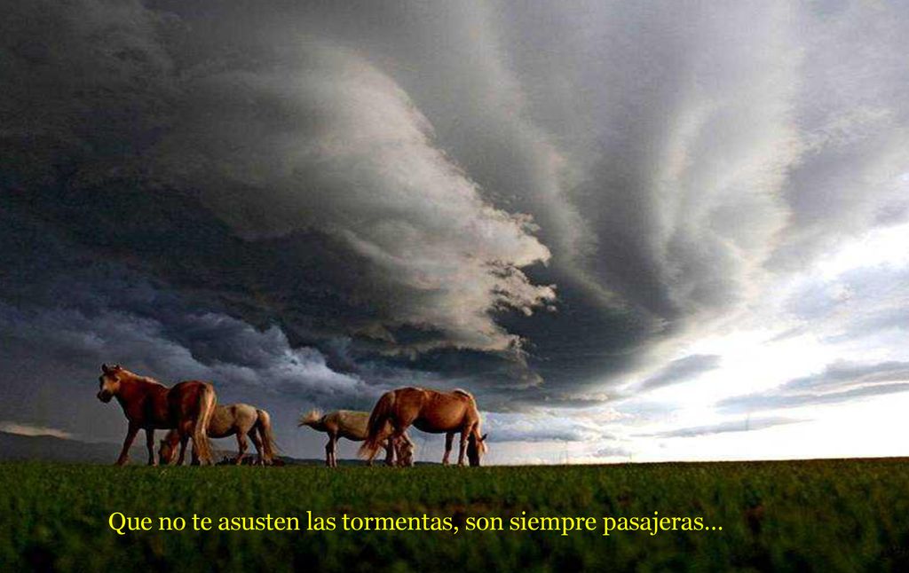 Que no te asusten las tormentas, son siempre pasajeras…