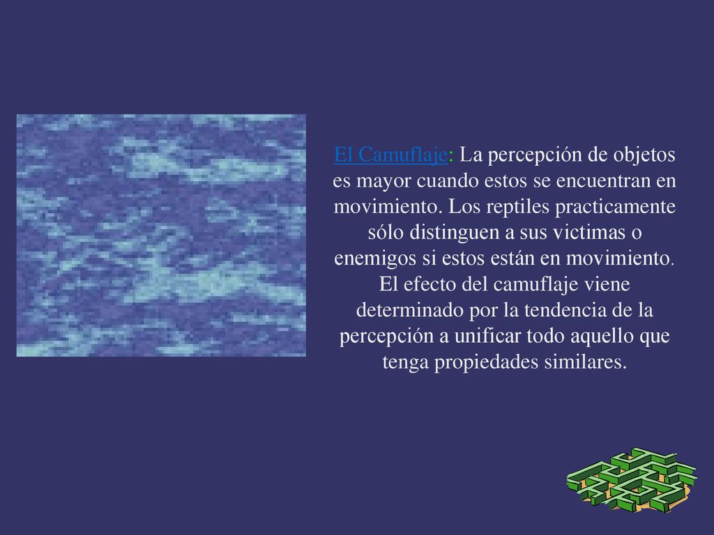 El Camuflaje: La percepción de objetos es mayor cuando estos se encuentran en movimiento.