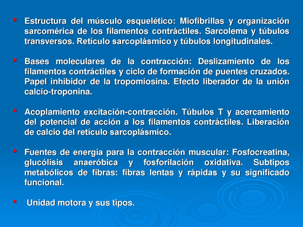 Estructura del músculo esquelético: Miofibrillas y organización sarcomérica de los filamentos contráctiles. Sarcolema y túbulos transversos. Retículo sarcoplásmico y túbulos longitudinales.