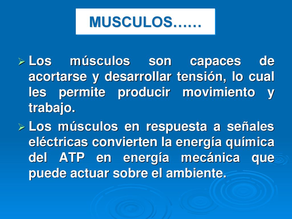 MUSCULOS…… Los músculos son capaces de acortarse y desarrollar tensión, lo cual les permite producir movimiento y trabajo.