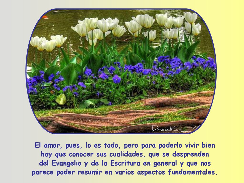 El amor, pues, lo es todo, pero para poderlo vivir bien hay que conocer sus cualidades, que se desprenden del Evangelio y de la Escritura en general y que nos parece poder resumir en varios aspectos fundamentales.
