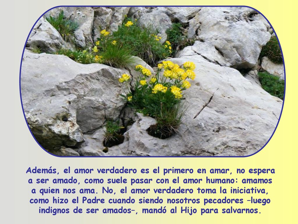 Además, el amor verdadero es el primero en amar, no espera a ser amado, como suele pasar con el amor humano: amamos a quien nos ama.