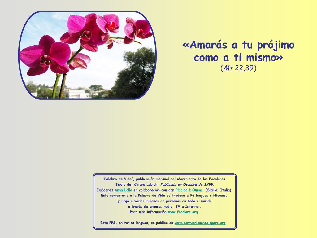 «Amarás a tu prójimo como a ti mismo» (Mt 22,39)