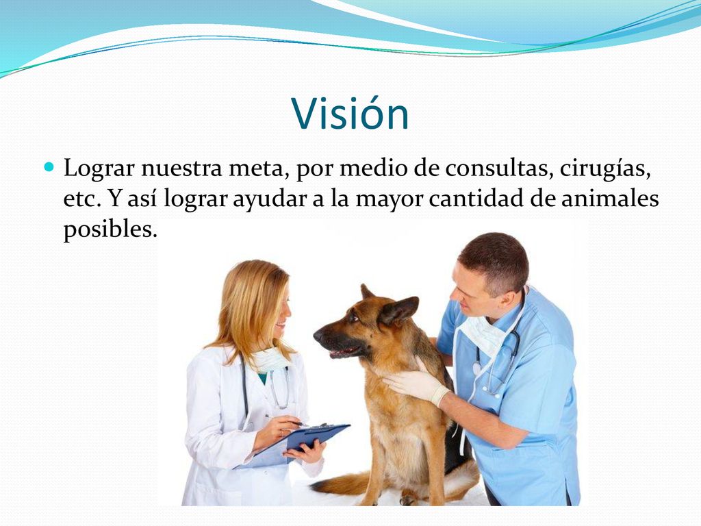Visión Lograr nuestra meta, por medio de consultas, cirugías, etc.