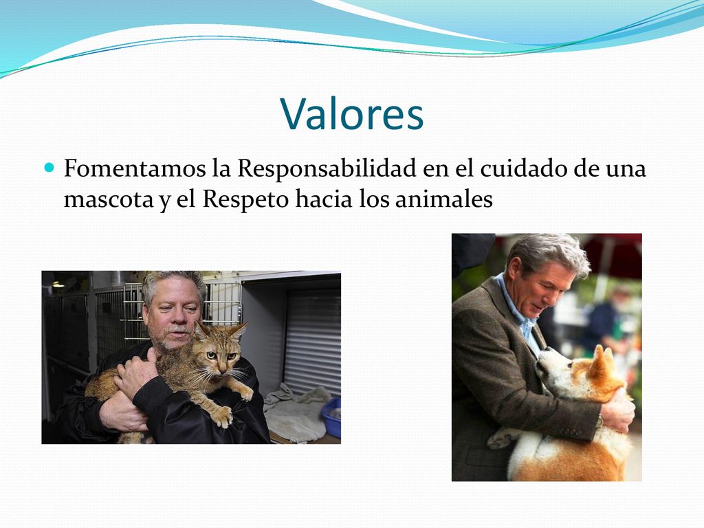 Valores Fomentamos la Responsabilidad en el cuidado de una mascota y el Respeto hacia los animales