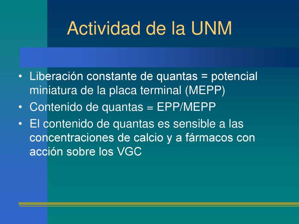 Actividad de la UNM Liberación constante de quantas = potencial miniatura de la placa terminal (MEPP)