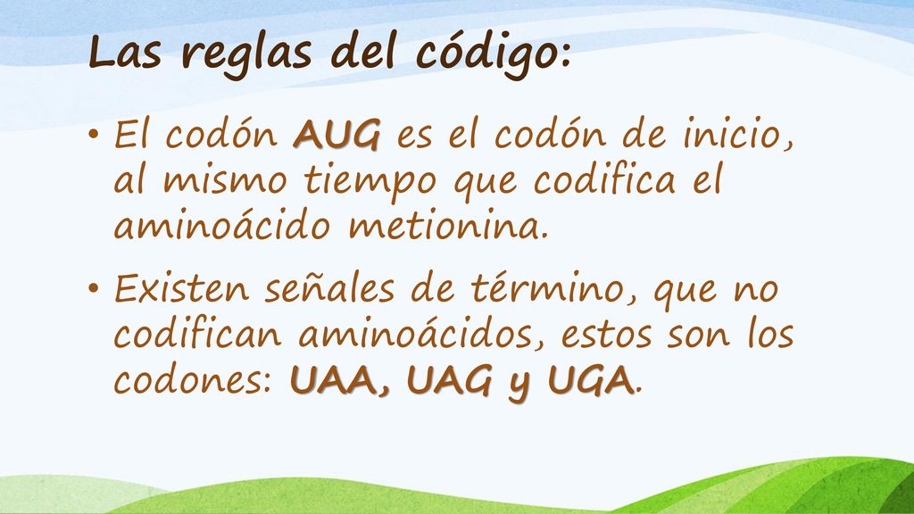 Las reglas del código: El codón AUG es el codón de inicio, al mismo tiempo que codifica el aminoácido metionina.