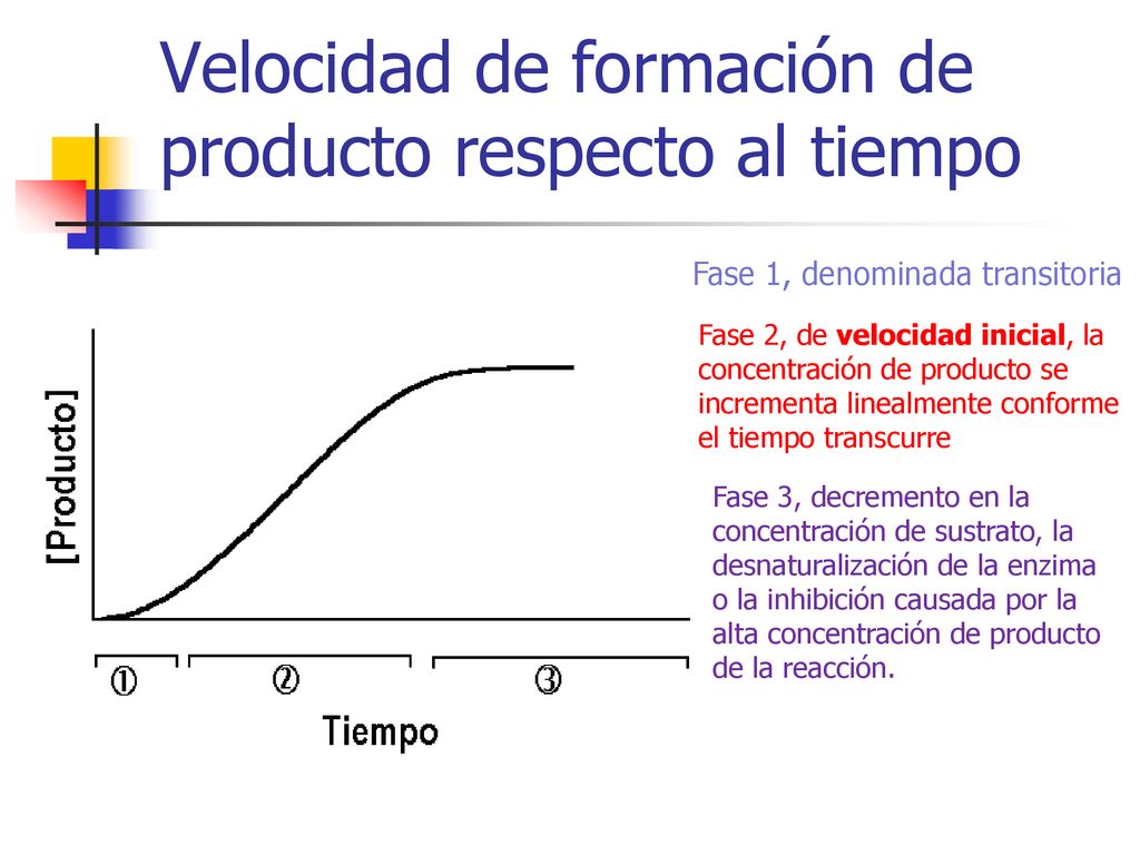 Velocidad de formación de producto respecto al tiempo