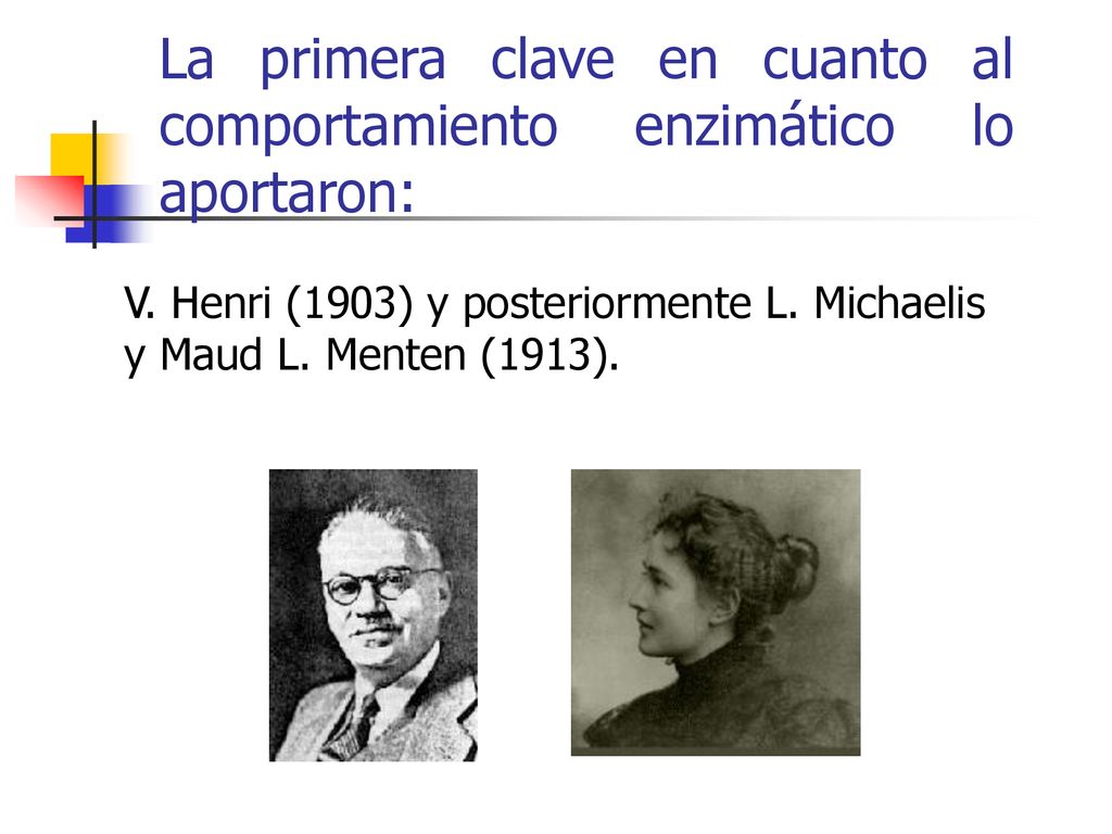 La primera clave en cuanto al comportamiento enzimático lo aportaron: