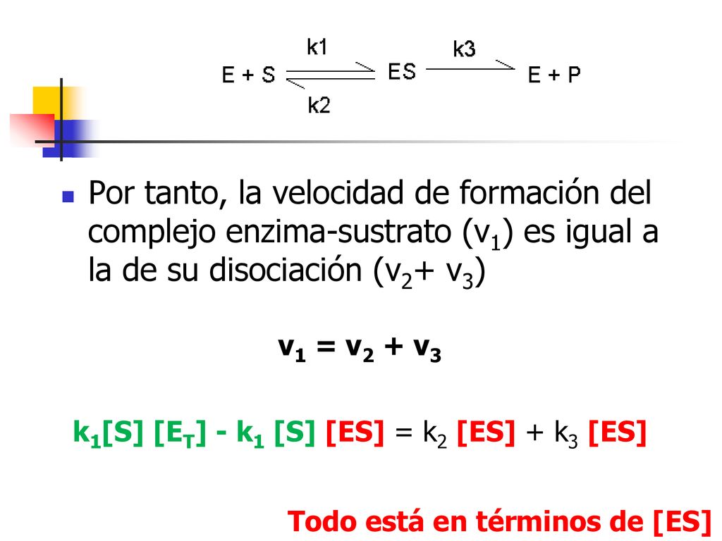 Por tanto, la velocidad de formación del complejo enzima-sustrato (v1) es igual a la de su disociación (v2+ v3)