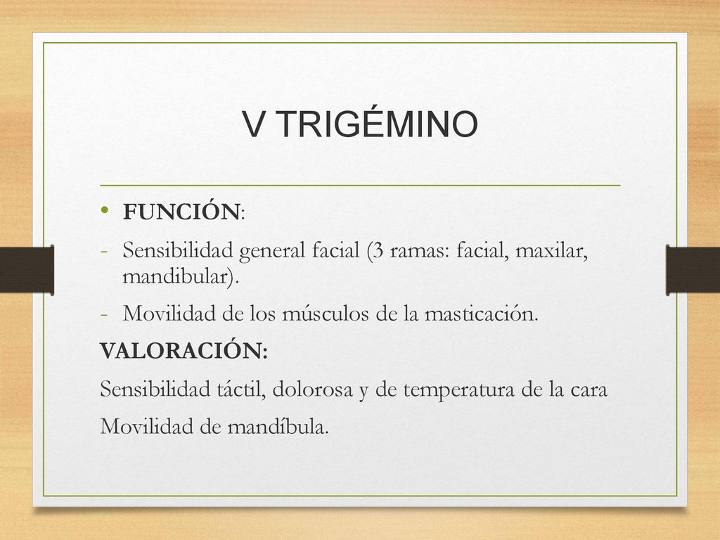 V TRIGÉMINO FUNCIÓN: Sensibilidad general facial (3 ramas: facial, maxilar, mandibular). Movilidad de los músculos de la masticación.