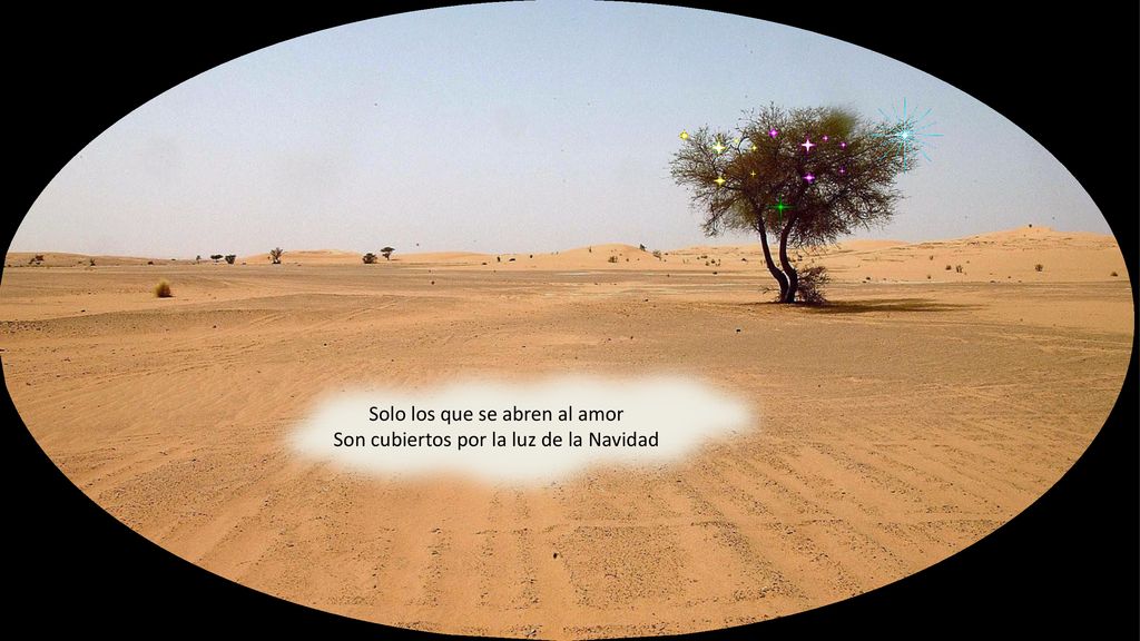 Solo los que se abren al amor Son cubiertos por la luz de la Navidad