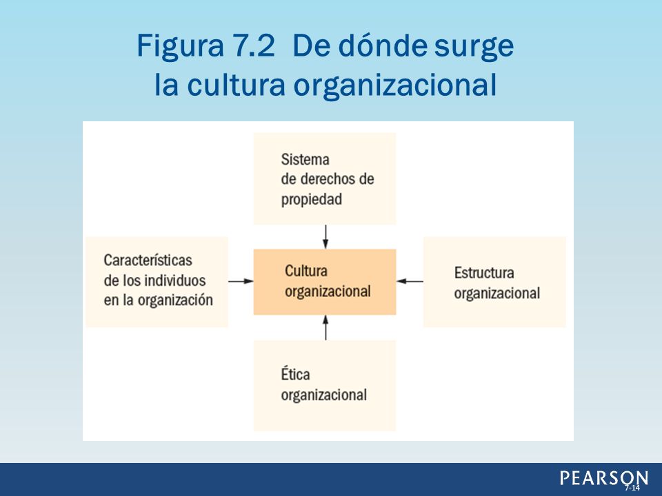 Figura 7.2 De dónde surge la cultura organizacional