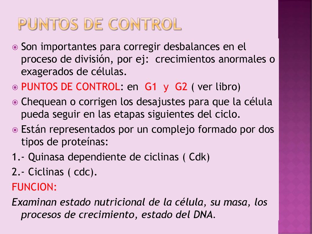 Puntos de control Son importantes para corregir desbalances en el proceso de división, por ej: crecimientos anormales o exagerados de células.