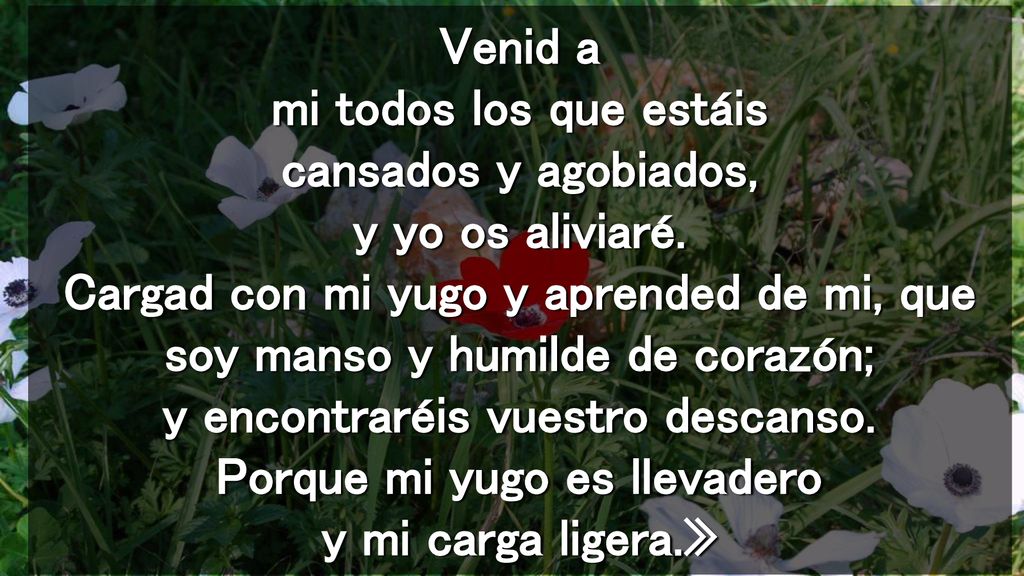 Venid a mi todos los que estáis cansados y agobiados, y yo os aliviaré