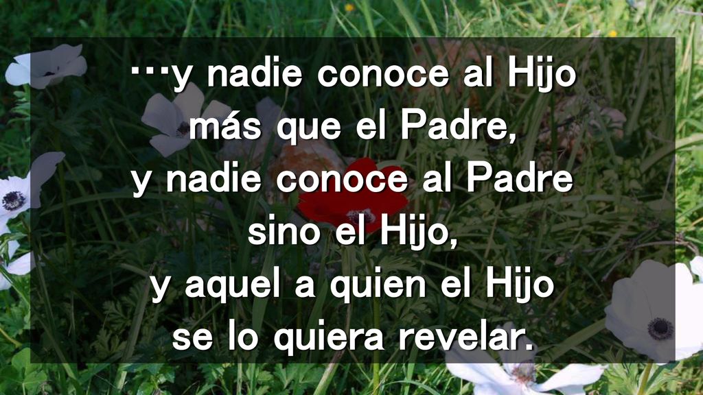 …y nadie conoce al Hijo más que el Padre, y nadie conoce al Padre sino el Hijo, y aquel a quien el Hijo se lo quiera revelar.