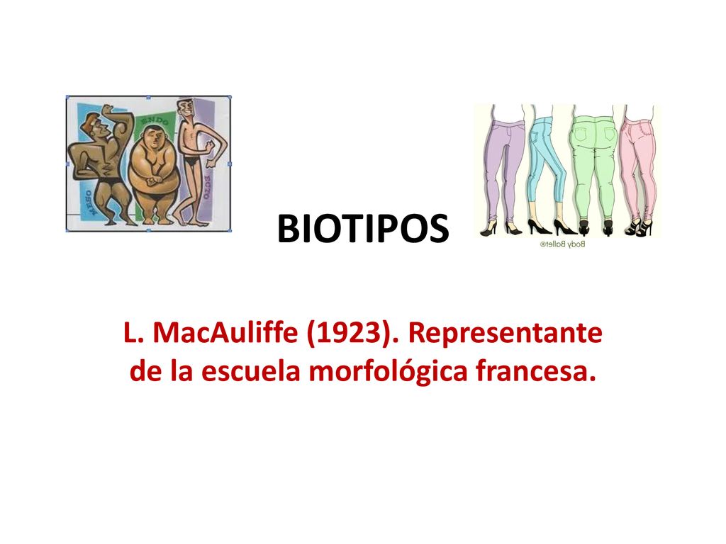 BIOTIPOS L. MacAuliffe (1923). Representante de la escuela morfológica francesa.