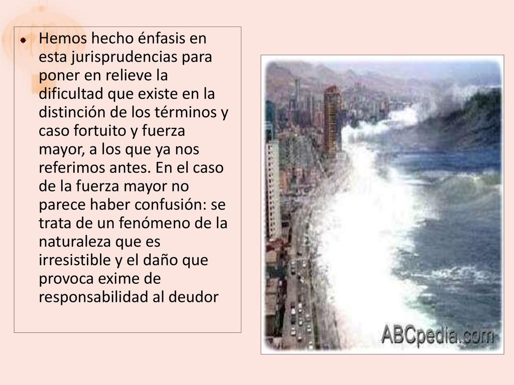 Hemos hecho énfasis en esta jurisprudencias para poner en relieve la dificultad que existe en la distinción de los términos y caso fortuito y fuerza mayor, a los que ya nos referimos antes.