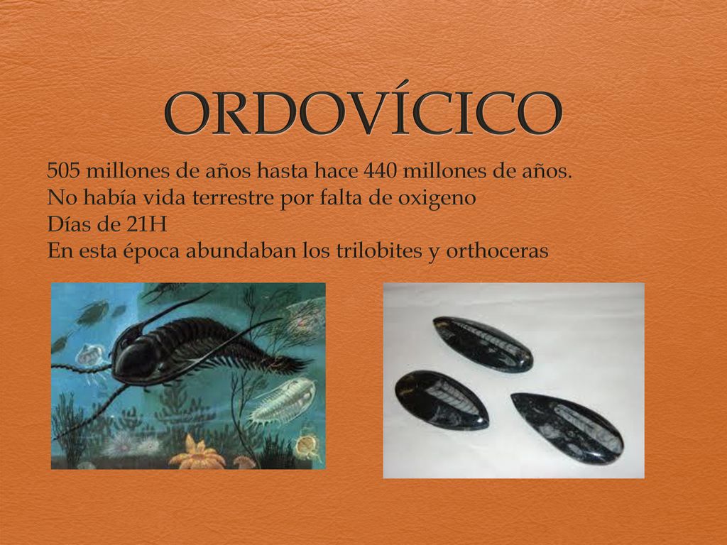 ORDOVÍCICO 505 millones de años hasta hace 440 millones de años.