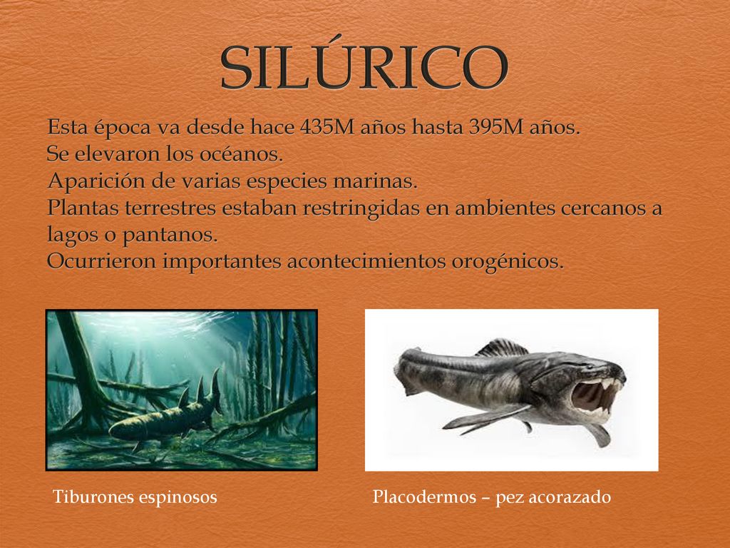 SILÚRICO Esta época va desde hace 435M años hasta 395M años.