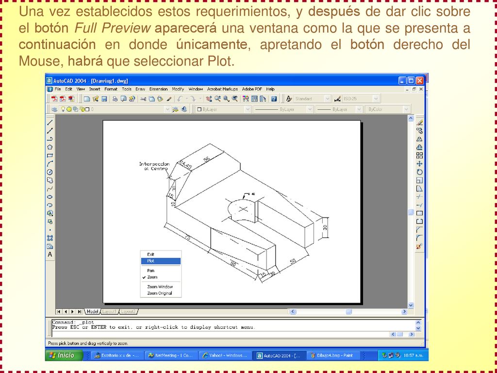Una vez establecidos estos requerimientos, y después de dar clic sobre el botón Full Preview aparecerá una ventana como la que se presenta a continuación en donde únicamente, apretando el botón derecho del Mouse, habrá que seleccionar Plot.