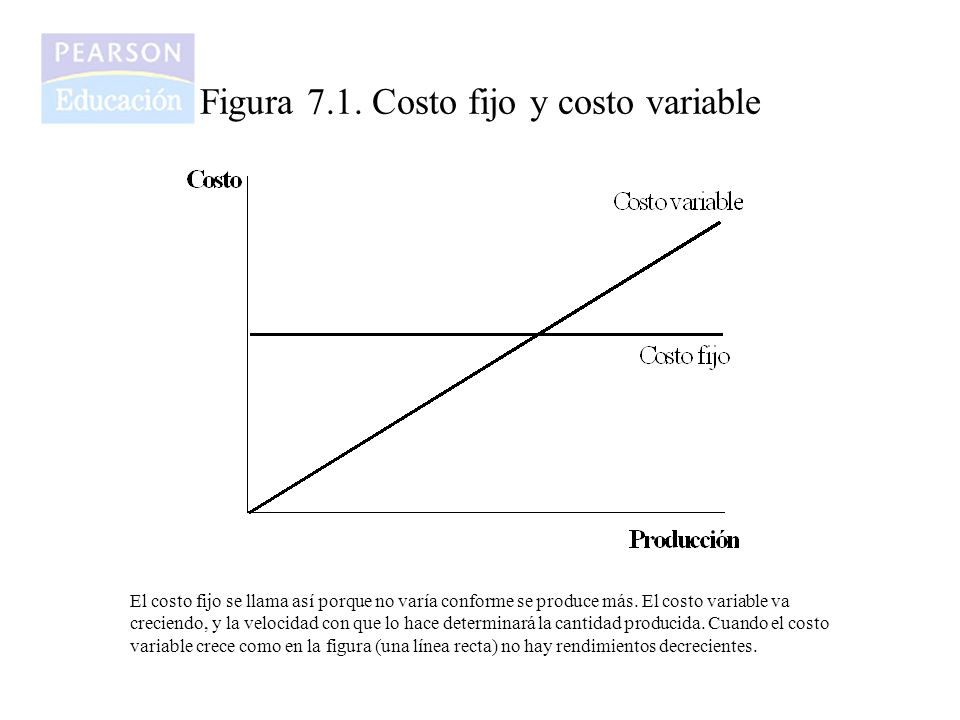 Figura 7.1. Costo fijo y costo variable