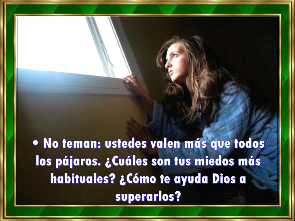 • No teman: ustedes valen más que todos los pájaros