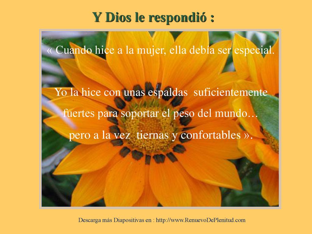 Y Dios le respondió : pero a la vez tiernas y confortables ».
