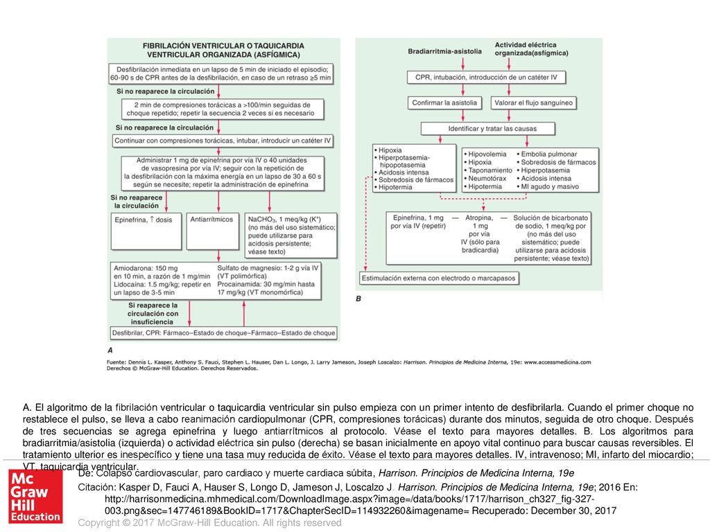 A. El algoritmo de la fibrilación ventricular o taquicardia ventricular sin pulso empieza con un primer intento de desfibrilarla. Cuando el primer choque no restablece el pulso, se lleva a cabo reanimación cardiopulmonar (CPR, compresiones torácicas) durante dos minutos, seguida de otro choque. Después de tres secuencias se agrega epinefrina y luego antiarrítmicos al protocolo. Véase el texto para mayores detalles. B. Los algoritmos para bradiarritmia/asistolia (izquierda) o actividad eléctrica sin pulso (derecha) se basan inicialmente en apoyo vital continuo para buscar causas reversibles. El tratamiento ulterior es inespecífico y tiene una tasa muy reducida de éxito. Véase el texto para mayores detalles. IV, intravenoso; MI, infarto del miocardio; VT, taquicardia ventricular.