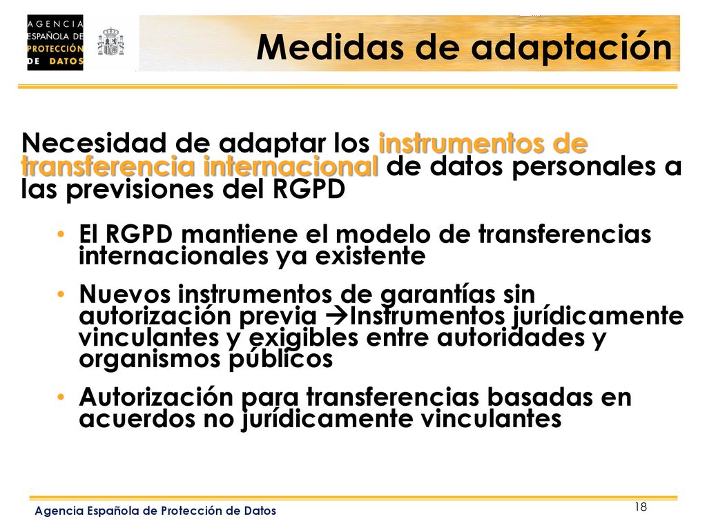 Medidas de adaptación Necesidad de adaptar los instrumentos de transferencia internacional de datos personales a las previsiones del RGPD.