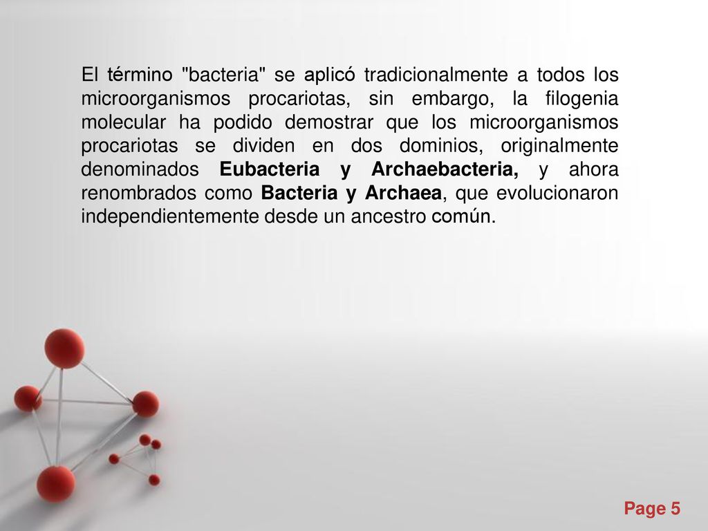 El término bacteria se aplicó tradicionalmente a todos los microorganismos procariotas, sin embargo, la filogenia molecular ha podido demostrar que los microorganismos procariotas se dividen en dos dominios, originalmente denominados Eubacteria y Archaebacteria, y ahora renombrados como Bacteria y Archaea, que evolucionaron independientemente desde un ancestro común.