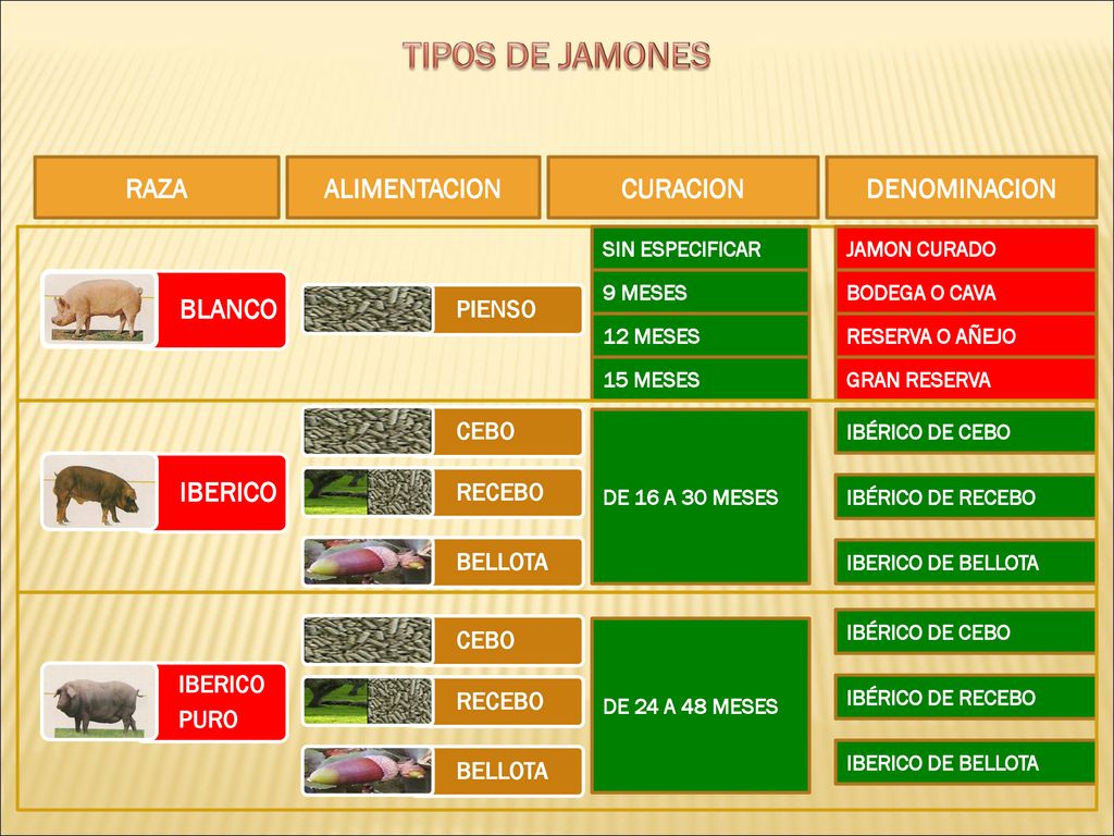 TIPOS DE JAMONES RAZA ALIMENTACION CURACION DENOMINACION BLANCO