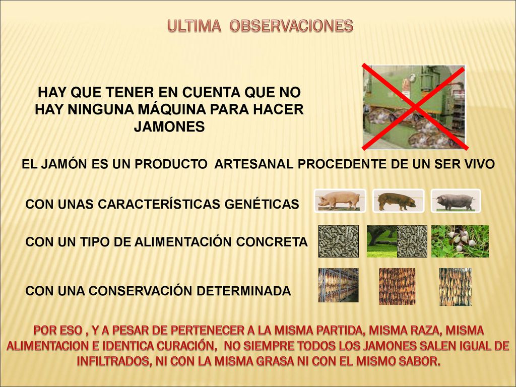 HAY QUE TENER EN CUENTA QUE NO HAY NINGUNA MÁQUINA PARA HACER JAMONES