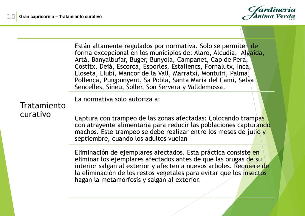 10 Gran capricornio – Tratamiento curativo. Tratamiento curativo.