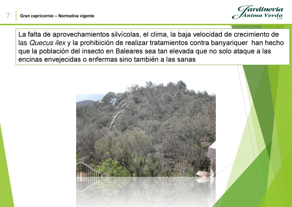 7 Gran capricornio – Normativa vigente.