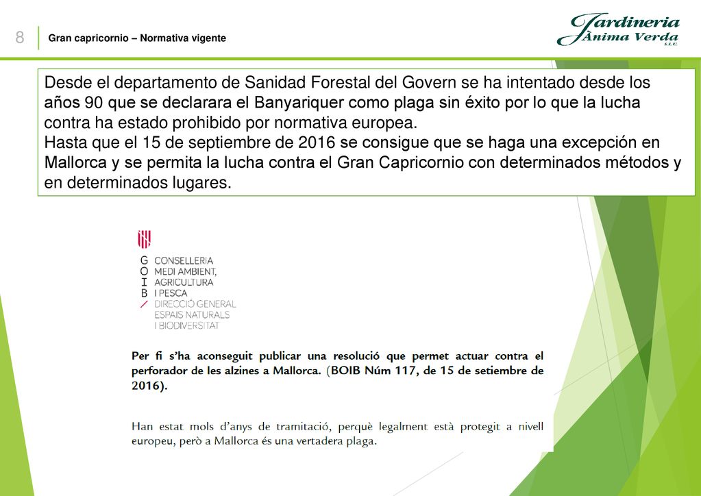 8 Gran capricornio – Normativa vigente.