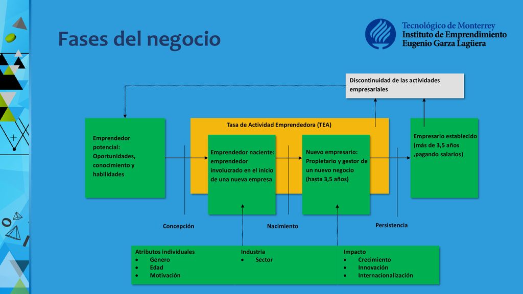 Fases del negocio Emprendedor potencial: Oportunidades, conocimiento y habilidades.