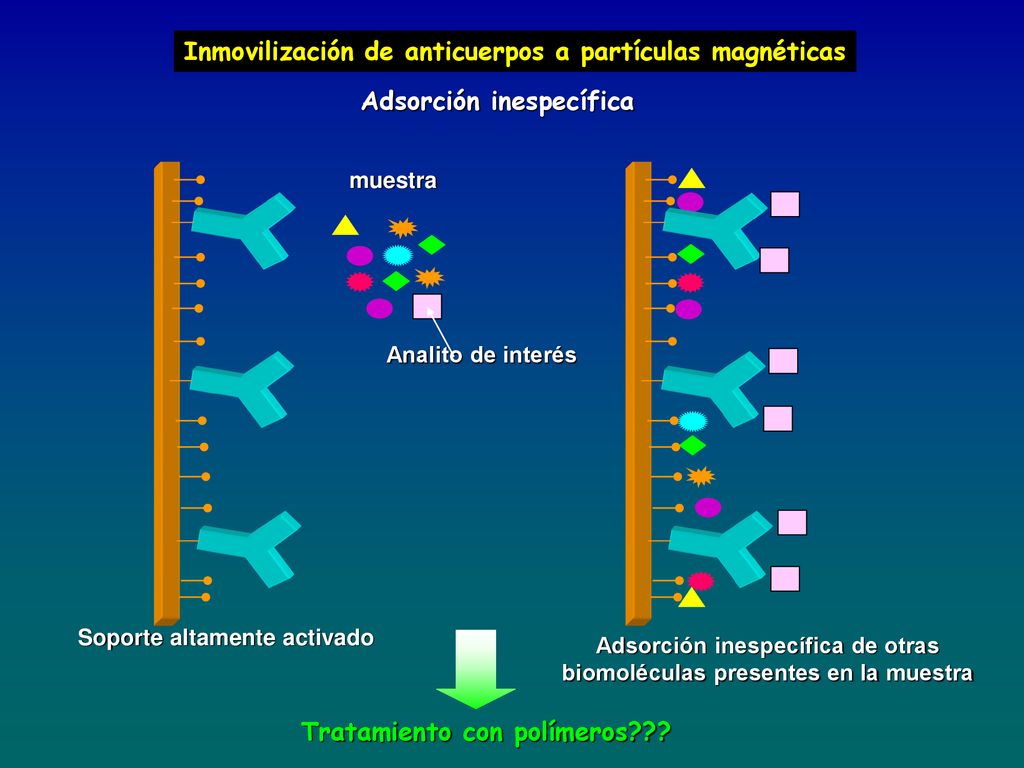 Adsorción inespecífica de otras biomoléculas presentes en la muestra