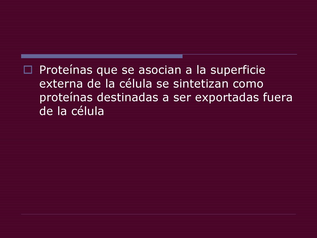Proteínas que se asocian a la superficie externa de la célula se sintetizan como proteínas destinadas a ser exportadas fuera de la célula