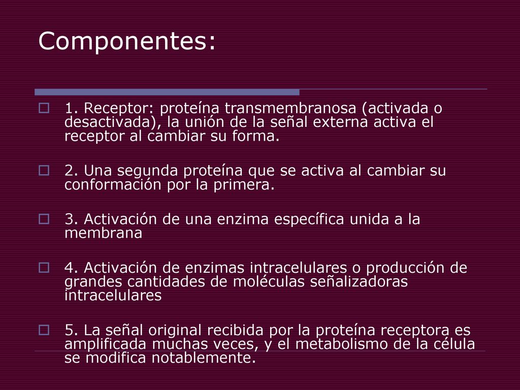 Componentes: 1. Receptor: proteína transmembranosa (activada o desactivada), la unión de la señal externa activa el receptor al cambiar su forma.