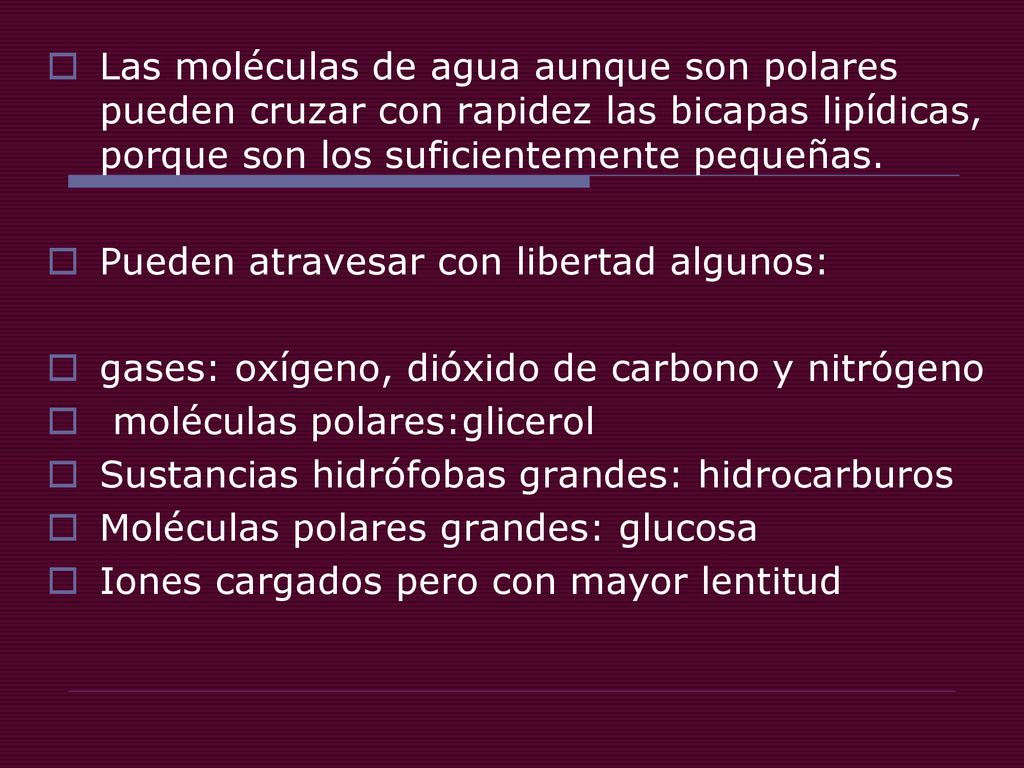 Las moléculas de agua aunque son polares pueden cruzar con rapidez las bicapas lipídicas, porque son los suficientemente pequeñas.