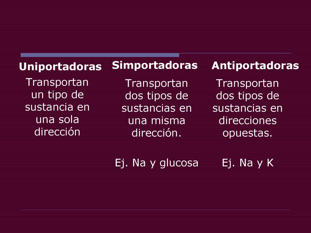 Transportan un tipo de sustancia en una sola dirección