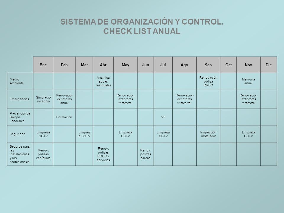 SISTEMA DE ORGANIZACIÓN Y CONTROL. CHECK LIST ANUAL
