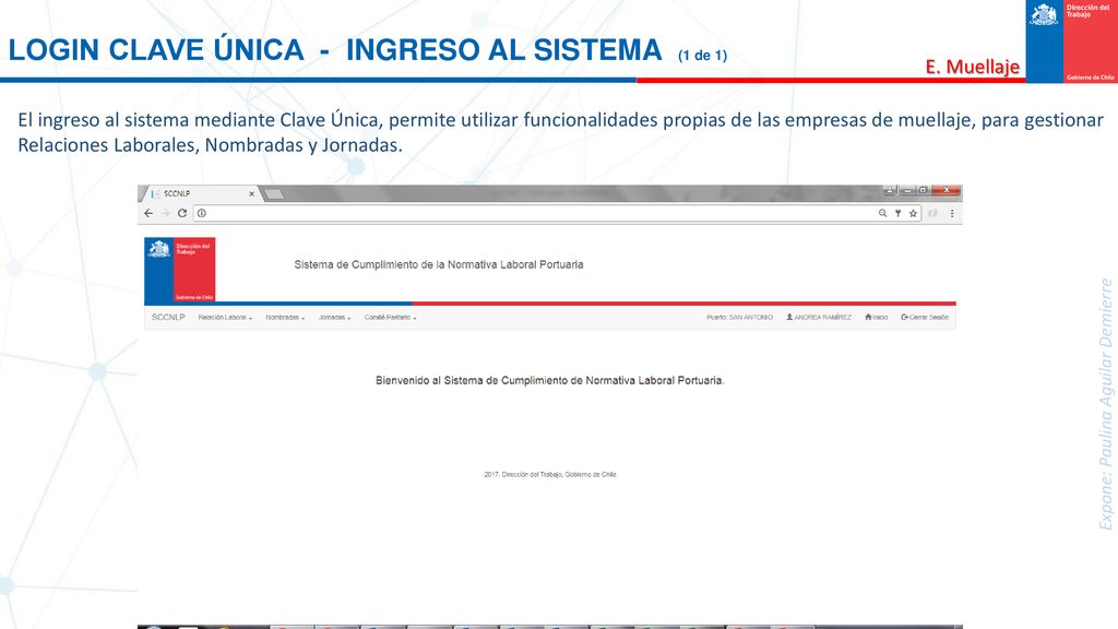 LOGIN CLAVE ÚNICA - INGRESO AL SISTEMA (1 de 1)