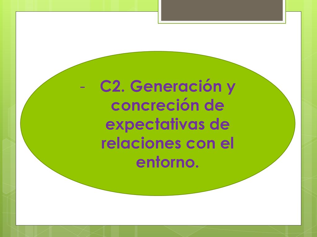 C2. Generación y concreción de expectativas de relaciones con el entorno.